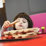 诺沃特梅兹中央酒店 酒店